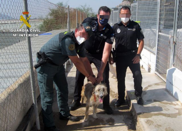 La Guardia Civil investiga a un vecino de Águilas por maltratar a su perro