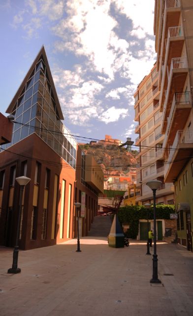 Agricultura prepara una jornada técnica en Águilas sobre el control de virosis transmitidas por insectos vectores