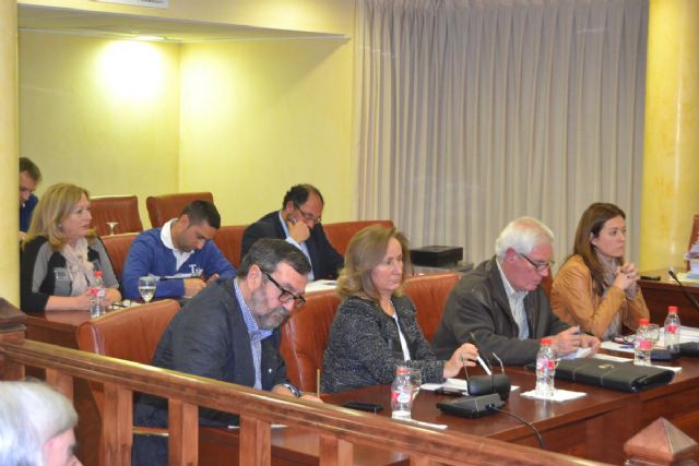 El PSOE mantiene que la expropiación de la parcela de 'El Rubial' es un pelotazo