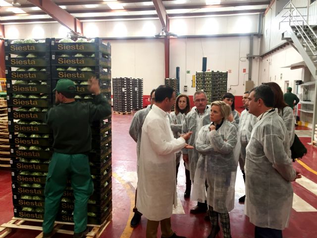 Adela Martínez-Cachá: afirma que Mariano Rajoy es un aliado de los agricultores murcianos en Madrid