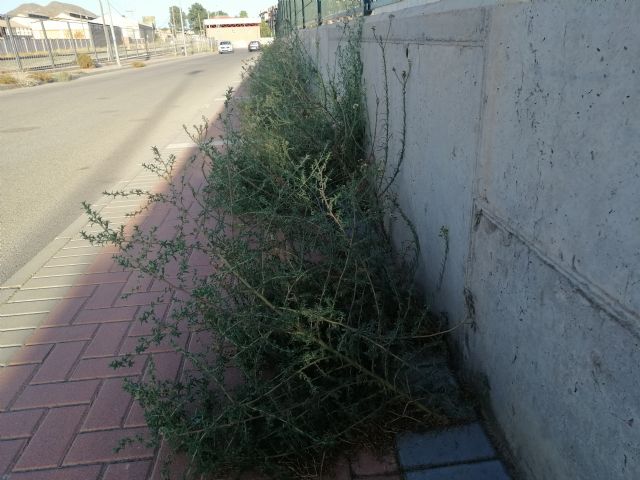 El Partido Comunista insta al gobierno municipal a que 'adecente' el entorno del Recinto Ferial