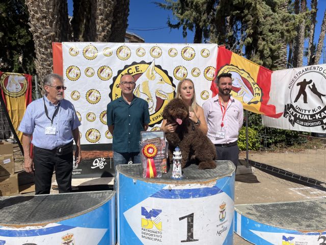 Gran afluencia de público en el Campeonato de España de Belleza Canina