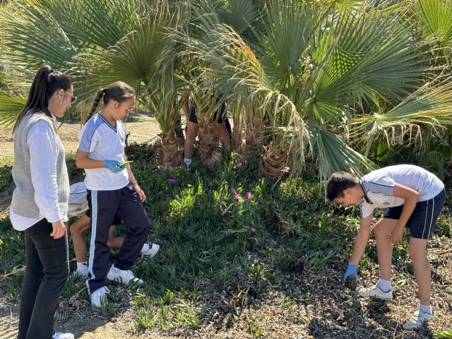 Comienza una nueva edición del programa Stop a la uña de gato