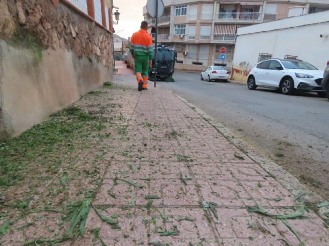 El Ayuntamiento lleva a cabo una actuación de limpieza en profundidad en el 'Cabezo del disco'