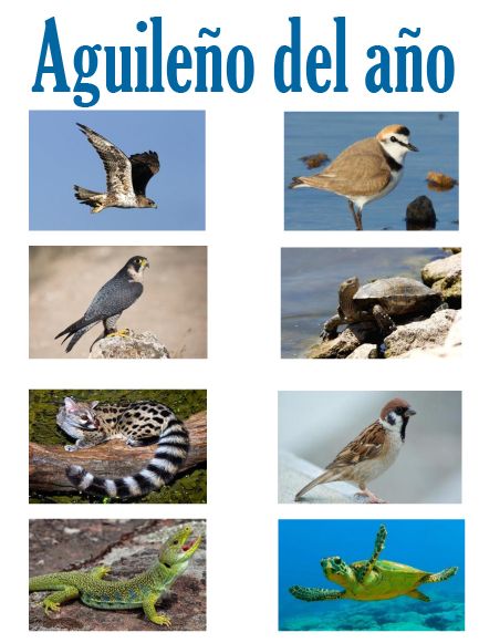 El IES Europa acoge la exposición 'Cambio Climático y proyecto LIFE ADAPTATE', dentro de las actividades del Mes del Medioambiente