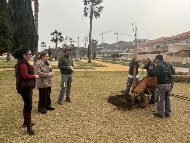 Continúan los trabajos de plantación de arbolado en distintos puntos de la localidad