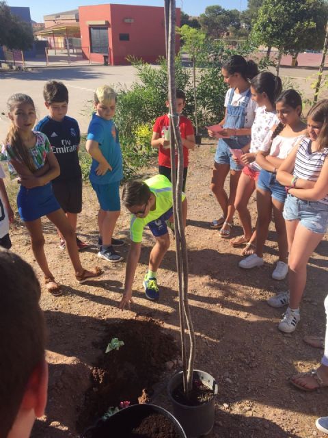 Águilas celebra el Día Mundial del Medio Ambiente