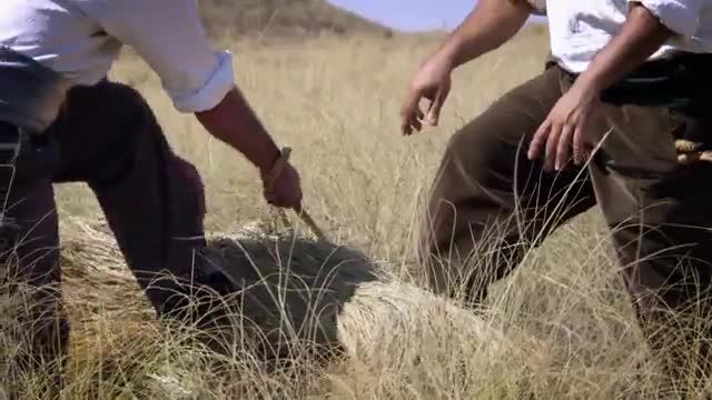 El documental ´Seda y esparto´ de la Fundación Integra se presenta en el ´II Encuentro sobre la cultura del esparto´ que se celebra en Águilas