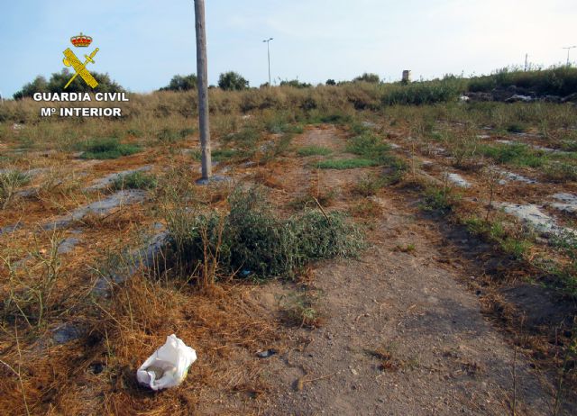 La Guardia Civil investiga a un vecino de Águilas por la captura ilegal de aves fringílidas