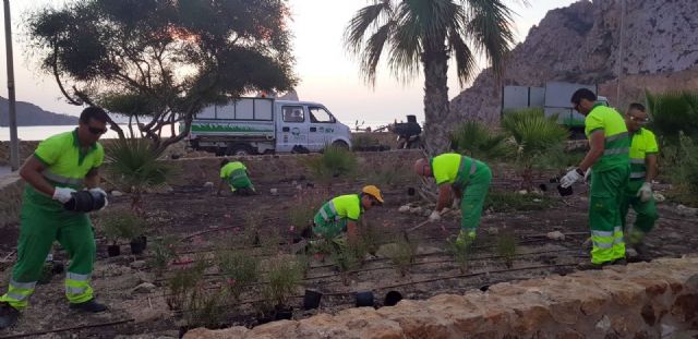 El Ayuntamiento transforma la imagen del mirador de Cocedores con más de 600 plantas