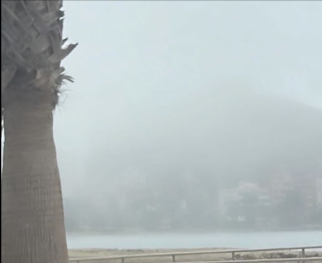 Reverte: 'Es alarmante que el Ejecutivo de Moreno ignore los avisos emitidos relativos a la mala calidad del aire por inclusión de polvo sahariano'