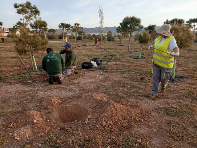 Continúan los trabajos de plantación de arbolado en distintos puntos de Águilas