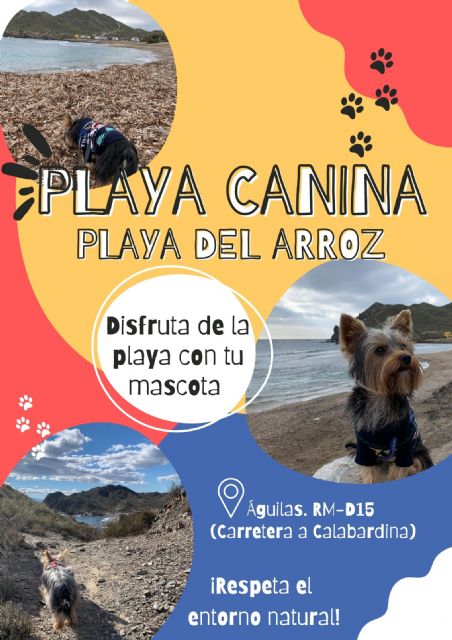 El Arroz se convertirá en una playa canina