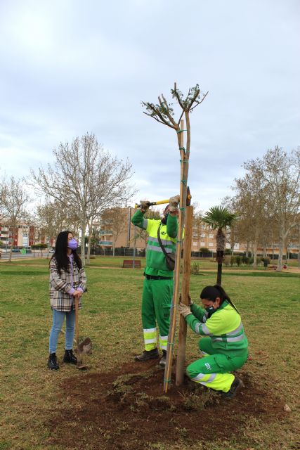 Jacaranda, un símbolo vivo para celebrar la igualdad