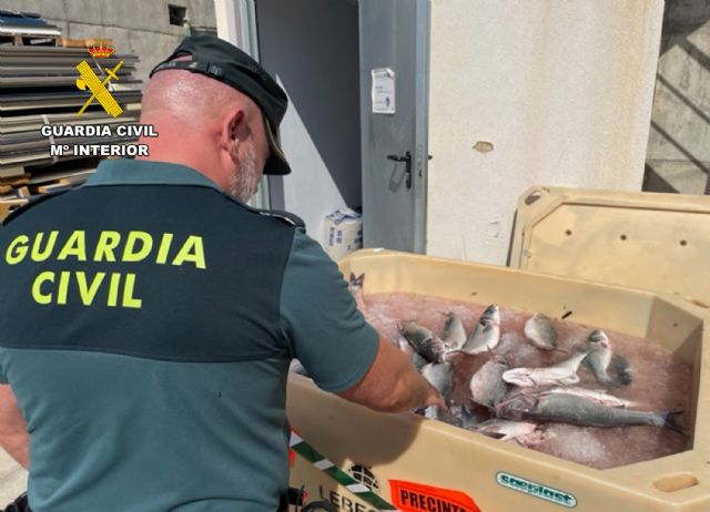La Guardia Civil detiene a los presuntos autores de sustraer lubinas en una piscifactoría de Águilas