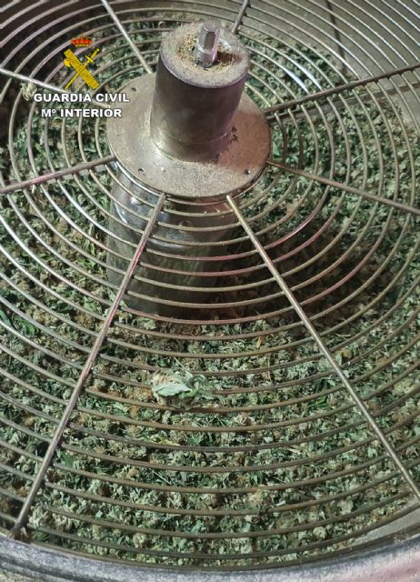 La Guardia Civil desmantela en una finca de Águilas un cultivo ilícito de marihuana