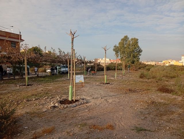 Continúan los trabajos de reforestación a través del programa experiencial 'Nueva vida para la antigua escombrera municipal y su entorno'