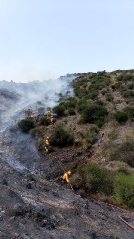 Efectivos del Plan Infomur controlan un incendio forestal en Águilas