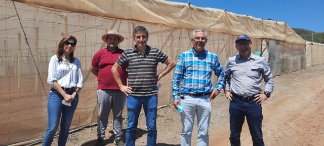 Águilas acoge un proyecto piloto para la descontaminación del suelo agrícola mediante la ozonización