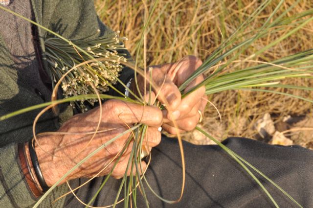 Talleres de esparto al aire libre todos los viernes de verano