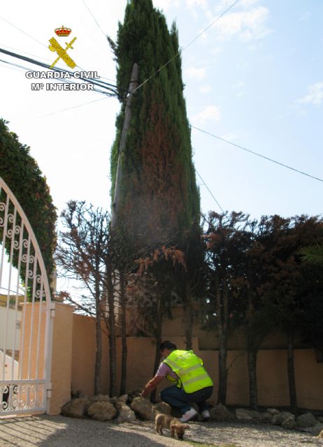 La Guardia Civil detiene a un pirómano dedicado a prender fuego a vehículos y viviendas de Águilas