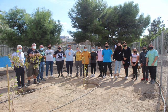 Resucitando a un manzano