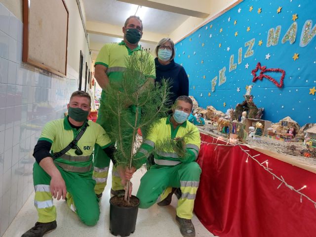 El Ayuntamiento hace entrega de los pinos a los centros educativos