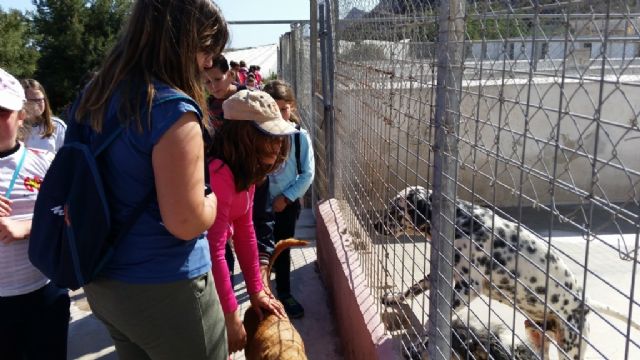 Ecoescuelas visita la protectora de animales Aguiproan