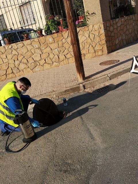 El Ayuntamiento desarrolla un plan de desinsectación en la red de alcantarillado