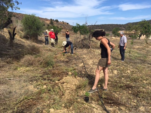 Políticos e investigadores debaten cómo conservar la biodiversidad en el paraje aguileño de Chuecos