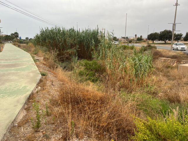 Después de 7 años, el PSOE escucha al Partido Popular y lleva a cabo una limpieza `un poco más profunda´ de los cauces de las ramblas