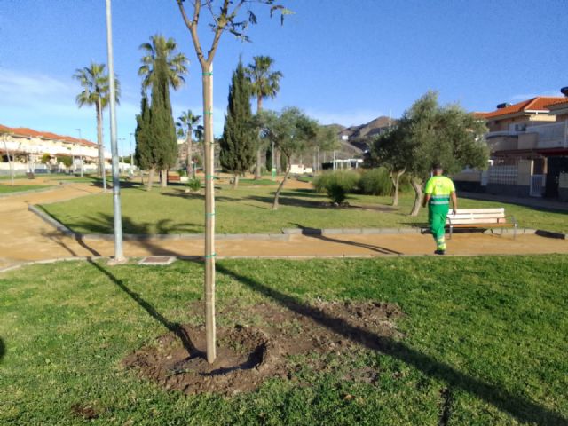 La Concejalía de Zonas Verdes lleva a cabo la plantación de 25 árboles en Los Jardines
