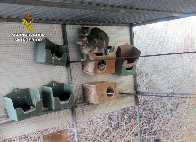 La Guardia Civil investiga a dos personas por delitos de abandono y maltrato animal