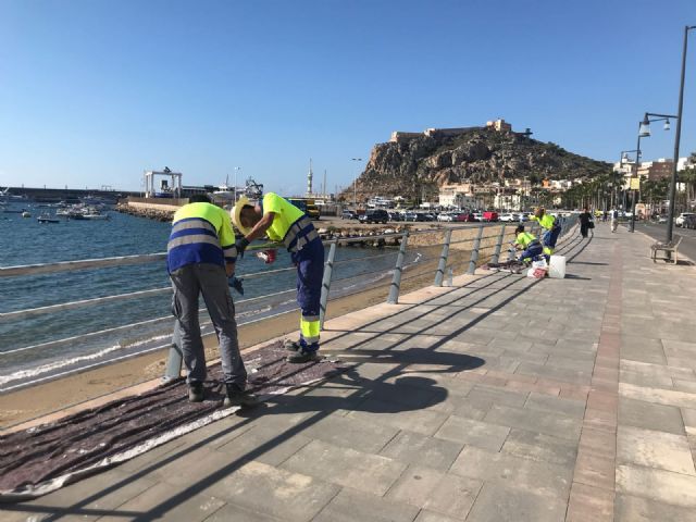 Comienzan los trabajos de mantenimiento de la balaustrada del Paseo Parra