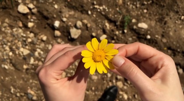 Hoy se celebra el día contra la Homofobia, la Transfobia y la Bifobia