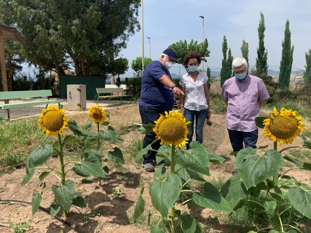 El IES Alfonso Escámez recibe su Manzano de la Cuesta de Gos