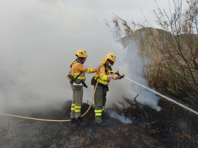 Incendio de vegetación en la pedanía de Tébar, Águilas
