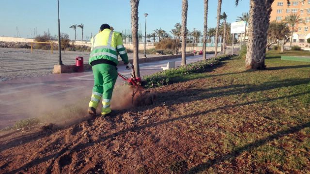 Más de 900.000 semillas resembrarán el césped en el municipio de Águilas