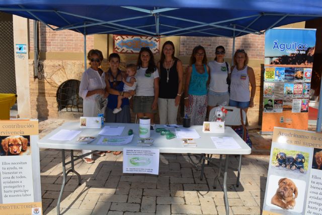 Campaña de recogida de alimentos y medicamentos para la protectora Aguiproan