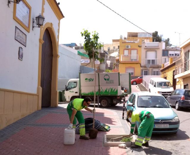 Moreras, naranjos y plantas arbustivas darán una renovada imagen a distintas calles del municipio