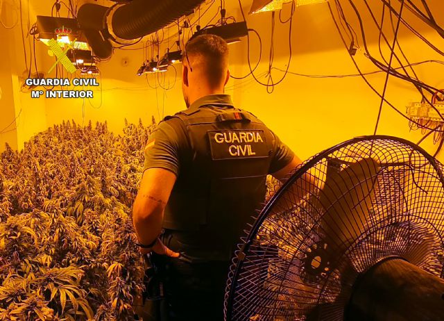 La Guardia Civil desmantela en Águilas un grupo delictivo que cultivaba gran cantidad de marihuana