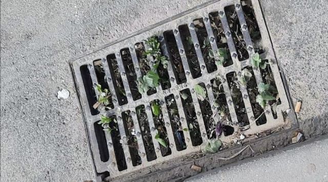 Reverte ' Solicitamos al Gobierno socialista de Águilas que lleve a cabo una limpieza urgente de los imbornales'