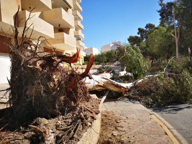 Alerta Naranja por vientos