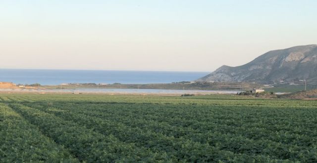 Aprobado Decreto Ley que permite las quemas controladas por motivos fitosanitarios