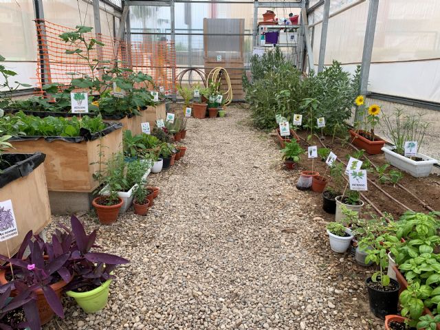 Educación y Medioambiente se dan la mano en el Día de la Tierra