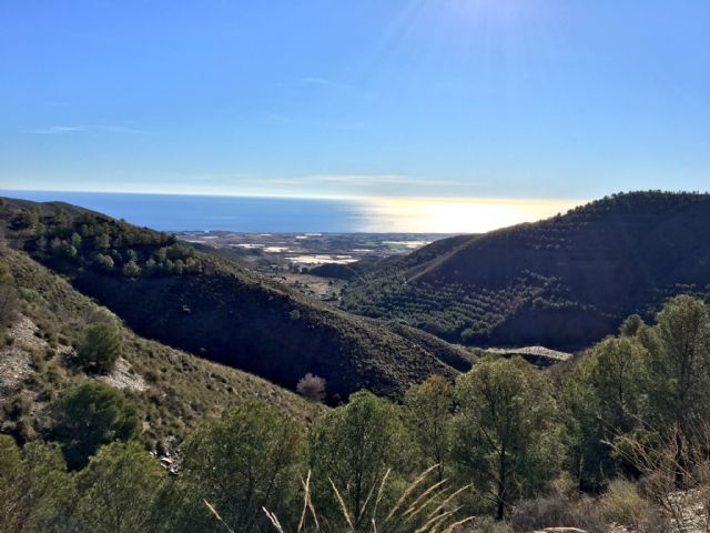 El PP denuncia el descontrol de la gestión del equipo de Gobierno al no adherirse al plan de prevención de incendios forestales