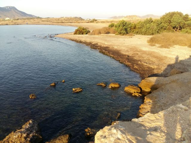 ASAJA Águilas reclama que se reconozcan a los agricultores como auténticos “guardianes del medio ambiente”
