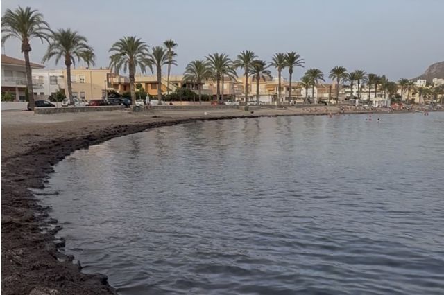 El PP vuelve a reclamar soluciones para recuperar la playa de Calabardina