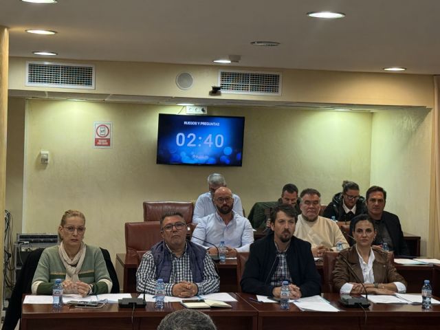 El Partido Popular consigue que el equipo de Gobierno ponga el foco de atención en el Paseo de la Colonia