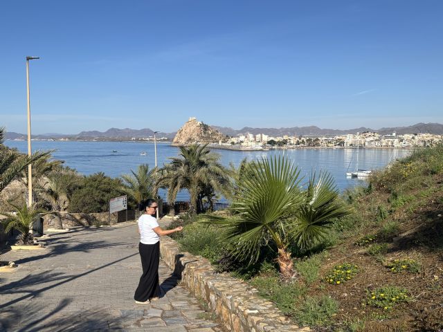 El Ayuntamiento de Águilas finaliza los trabajos de renaturalización y mejora del hábitat en la zona verde del Pico de la Aguilica